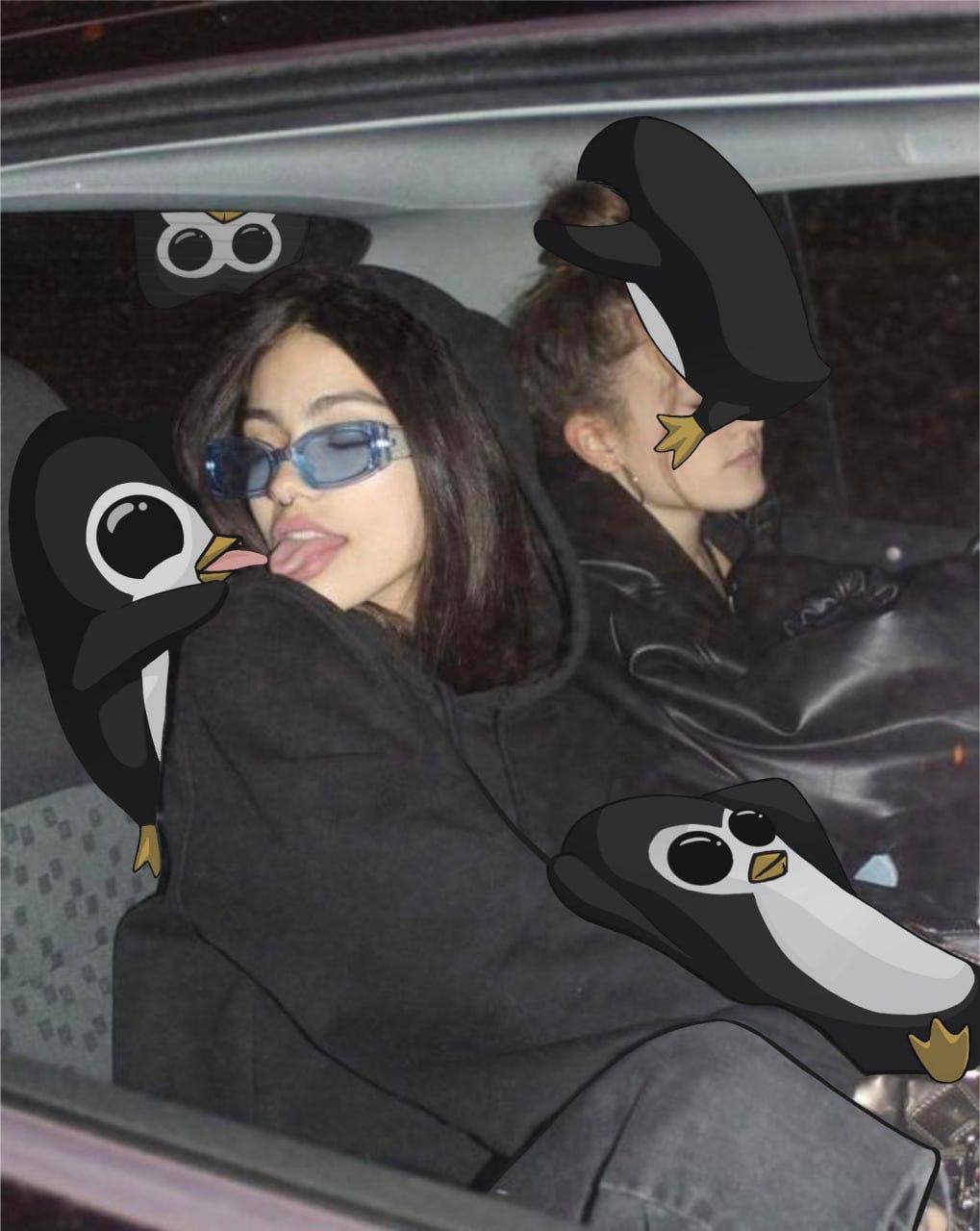Wengu Wengu | Portal-Born Crypto Penguin